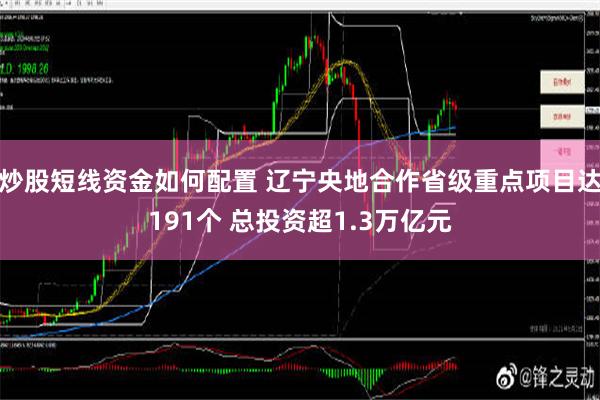 炒股短线资金如何配置 辽宁央地合作省级重点项目达191个 总