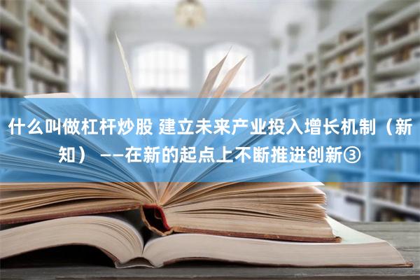 什么叫做杠杆炒股 建立未来产业投入增长机制（新知） ——在新