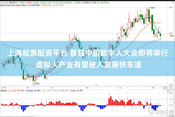 上海股票配资平台 首届中国数字人大会即将举行 虚拟人产业有望