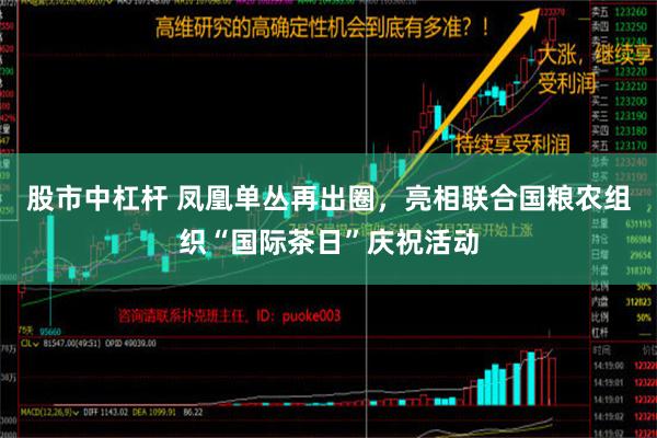 股市中杠杆 凤凰单丛再出圈，亮相联合国粮农组织“国际茶日”庆