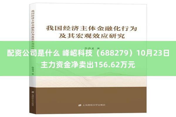 配资公司是什么 峰岹科技（688279）10月23日主力资金