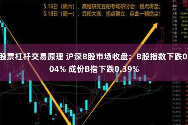 股票杠杆交易原理 沪深B股市场收盘：B股指数下跌0.04% 