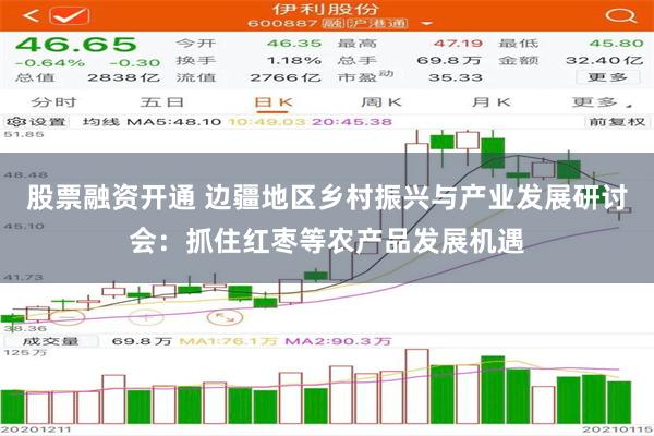 股票融资开通 边疆地区乡村振兴与产业发展研讨会：抓住红枣等农