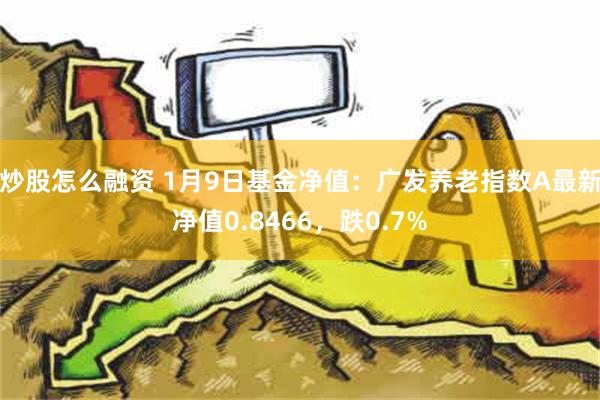 炒股怎么融资 1月9日基金净值：广发养老指数A最新净值0.8