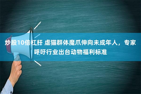 炒股10倍杠杆 虐猫群体魔爪伸向未成年人，专家呼吁行业出台动