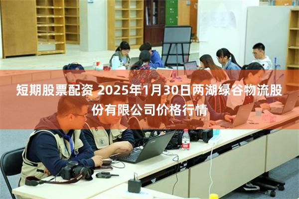 短期股票配资 2025年1月30日两湖绿谷物流股份有限公司价