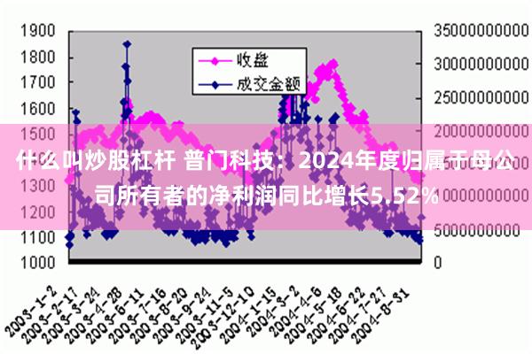 什么叫炒股杠杆 普门科技：2024年度归属于母公司所有者的净